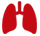 Lung Function Evaluation